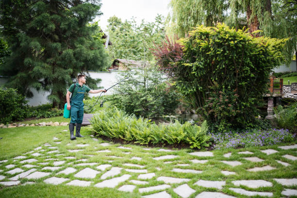 Best Exterminator Services  in Iowa Falls, IA