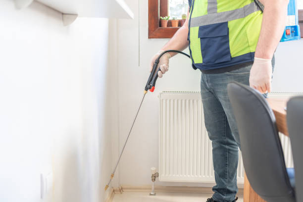 Wasp Removal Services in Iowa Falls, IA