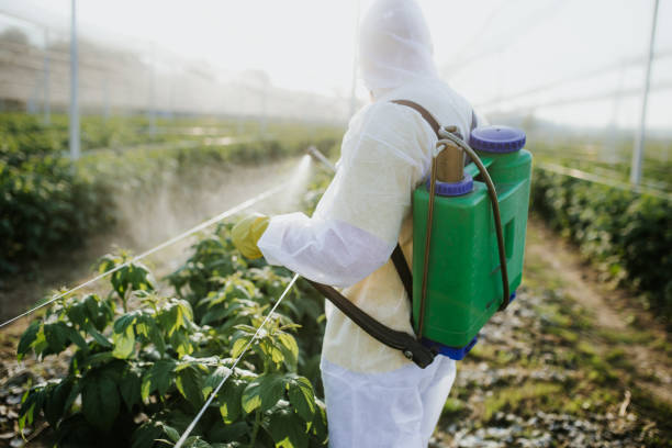 Reliable Iowa Falls, IA Pest Control Solutions
